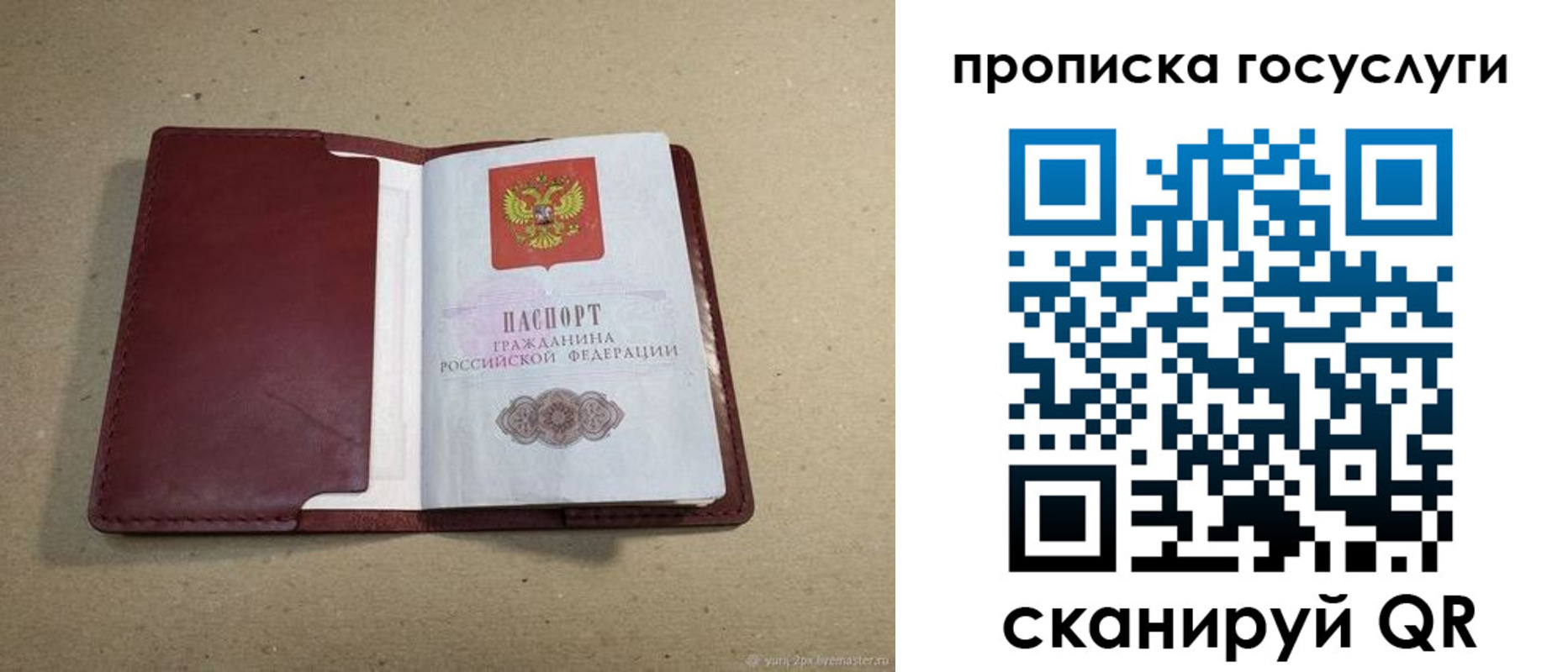 прописка поиск в Тайге